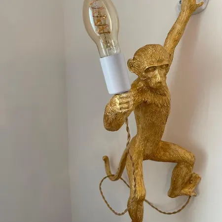 Bed and breakfast Urban Jungle