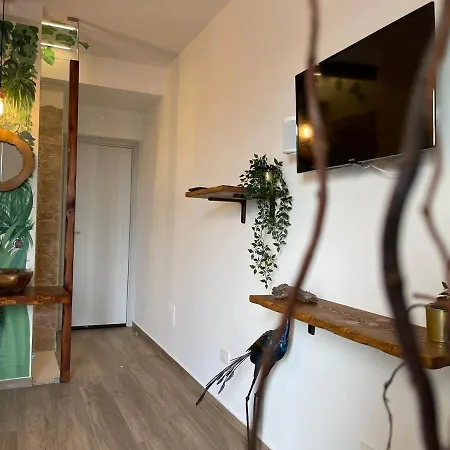 Oda ve Kahvaltı Urban Jungle *