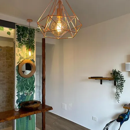 Bed and breakfast Urban Jungle