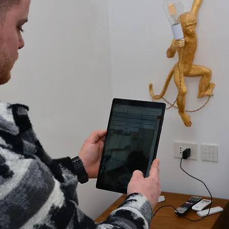 Bed and breakfast Urban Jungle 4*