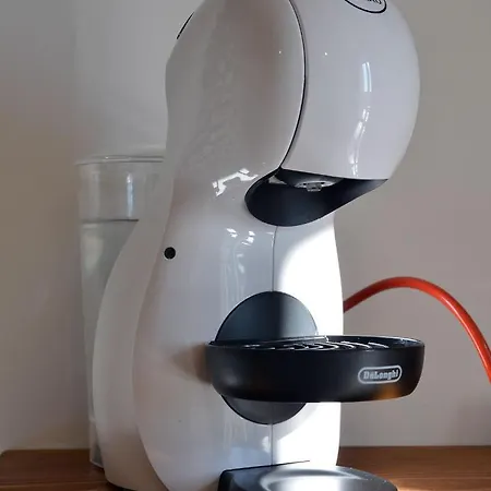 Urban Jungle Bed and breakfast