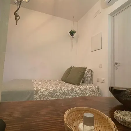 Bed and breakfast Urban Jungle 4*