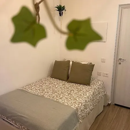 Urban Jungle Bed and breakfast