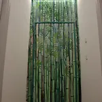 Urban Jungle