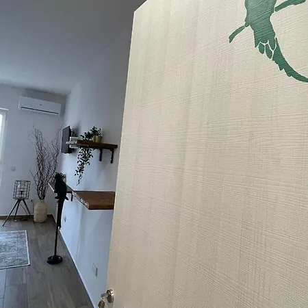 Urban Jungle Отель типа 