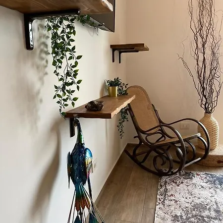 Urban Jungle 4*